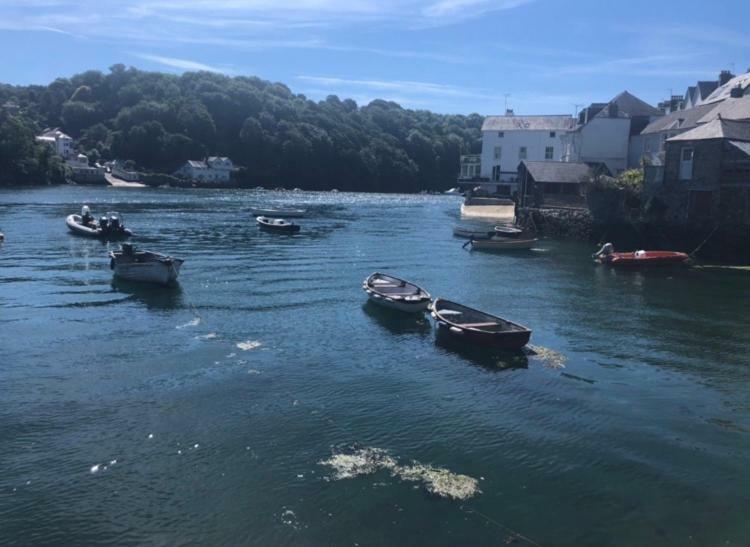 Fowey Landing Διαμέρισμα Εξωτερικό φωτογραφία